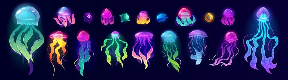 Jellyfish underwater animals, colorful jelly fish Stock Illustration