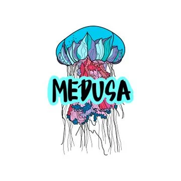 Jellyfish vector illustration with hand drawn calligraphy. Stock Illustration