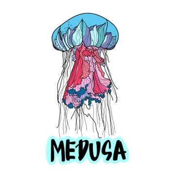 Jellyfish vector illustration with hand drawn calligraphy. Stock Illustration