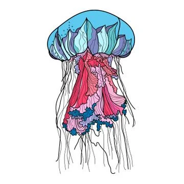 Jellyfish vector illustration. Stock Illustration
