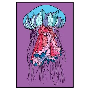Jellyfish vector illustration. Stock Illustration