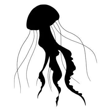 Jellyfish vector silhouette. Hand drawn illustration of Jelly Fish on isolated Stock Illustration