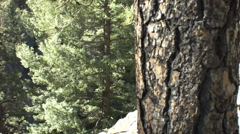 Jemez falls pan Stock Footage 40032044
