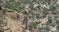 In The Jemez Mountains HD Footage