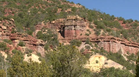 In The Jemez Mountains Stock Footage 556096