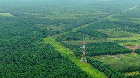Jempol Electricity Pylon Close-Up Push-In - Malaysia Palm Plantation 4K 스톡 동영상 331841723
