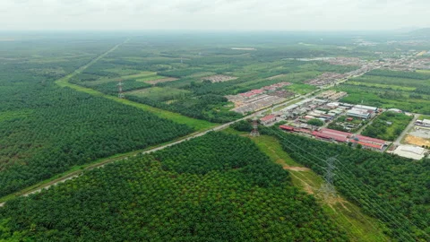 Jempol High Voltage Pylons Push-In - Malaysia Rural Town Grid 4K 스톡 동영상 331841748