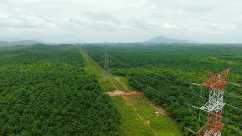 Jempol High Voltage Towers Push-In - Malaysia Power Grid 4K 스톡 동영상 331849790