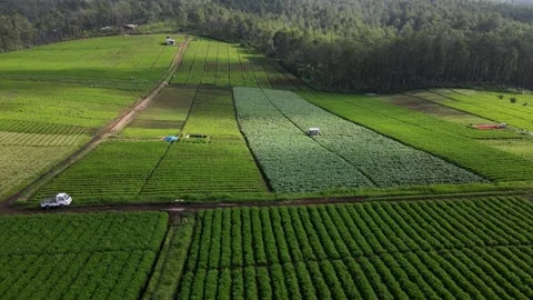 Jengkoang Hill Stock Footage 265055015