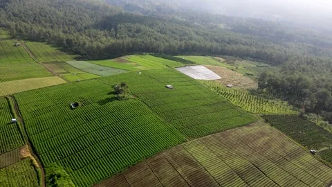 Jengkoang Hill Stock Footage 265056414