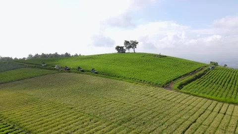 Jengkoang Hill Stock Footage 265056796