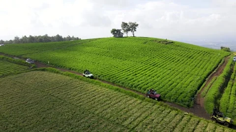 Jengkoang Hill Stock Footage 265057091