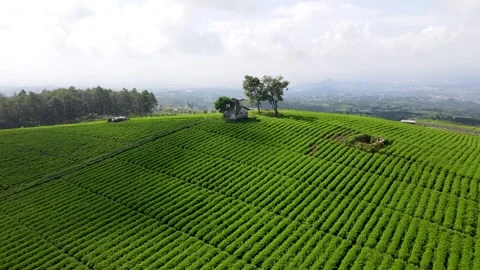 Jengkoang Hill Stock Footage 265057525