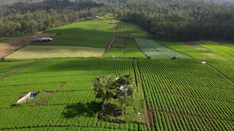 Jengkoang Hill Stock Footage 265058250
