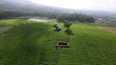 Jengkoang Hill Stock Footage 265058328