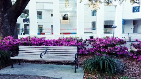 Jepson Center Azaleas Vídeo Stock 88683466