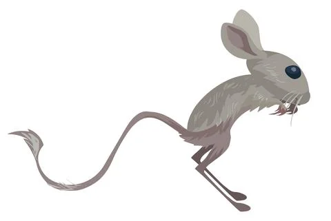 Jerboas cartoon illustration vector Stock Illustration