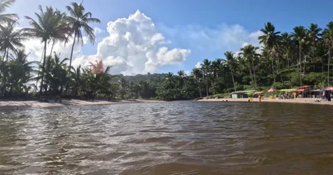 Jeribucaçu beach Stock Footage 234231669
