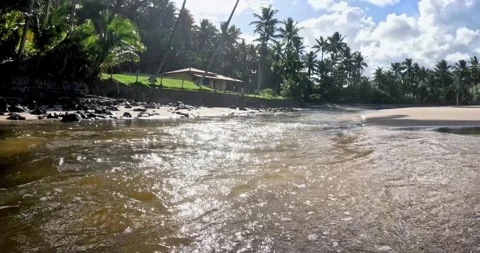 Jeribucaçu beach Stock Footage 234233603