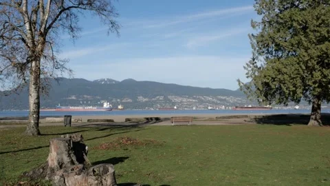 Jericho Beach during a fall season in Vancouver 動画素材 255820207