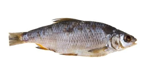 Jerky fish isolated on white background closeup Stock Photos