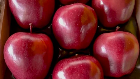 Jeromine red apples arranged in cardboard crate Stock Footage 318852853