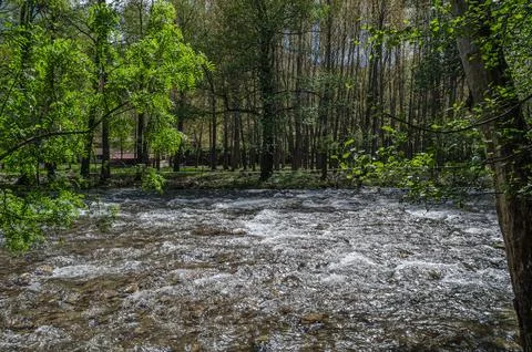 Jerte river in spring, Spain Foto stock