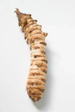 Jerusalem artichoke 스톡 사진