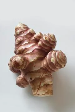A Jerusalem artichoke 스톡 사진