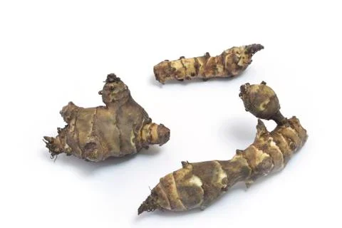 Jerusalem artichoke Fotos Stock