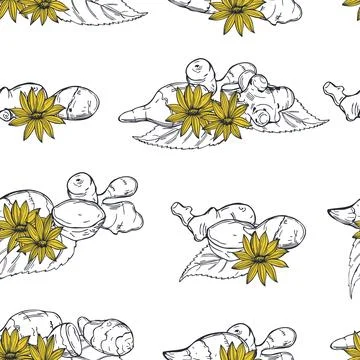 Jerusalem artichoke . Vector  pattern. Stock Illustration