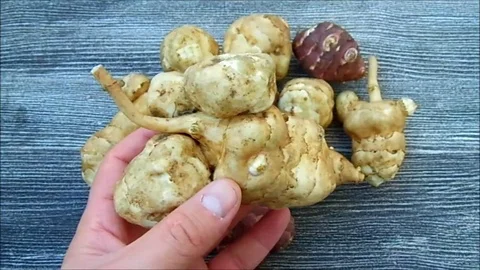 Jerusalem artichoke is very useful in terms of health, in the plate Vídeos de archivo 86202913