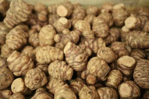 Jerusalem Artichokes Stock Photos