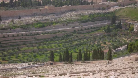 Jerusalem - Gethsemane Stock Footage 241160429