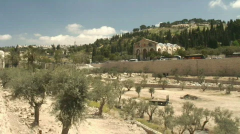Jerusalem Gethsemane pan 3 Stockbeeldmateriaal 375075