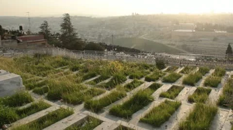 Jerusalem Grass Cemetery Stock Footage 11963271