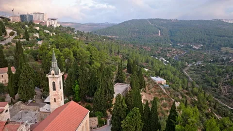 Jerusalem Hills Pine Trees &amp; Ceeders at Sunrise Stock Footage 250474103