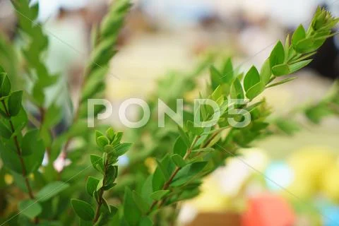 JERUSALEM - OCTOBER 7, 2014: Religious Jews at a lulav market place, Israel Stock Photos