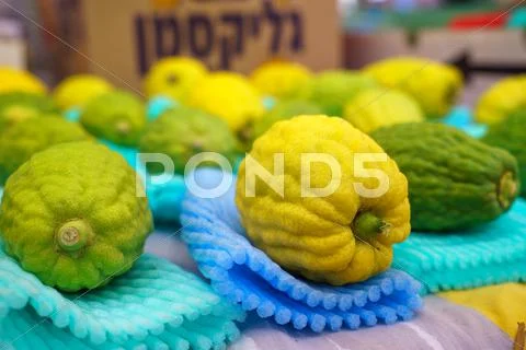 JERUSALEM - OCTOBER 7, 2014: Religious Jews at a lulav market place, Israel Stock Photos