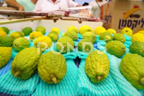 JERUSALEM - OCTOBER 7, 2014: Religious Jews at a lulav market place, Israel Stock Photos