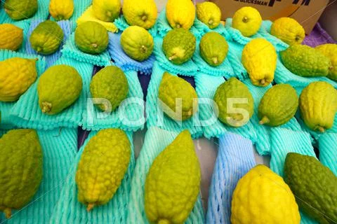 JERUSALEM - OCTOBER 7, 2014: Religious Jews at a lulav market place, Israel Stock Photos