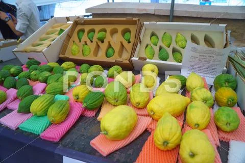 JERUSALEM - OCTOBER 7, 2014: Religious Jews at a lulav market place, Israel Stock Photos
