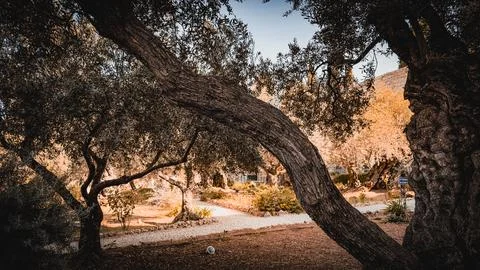 Jerusalem old city Foto stock
