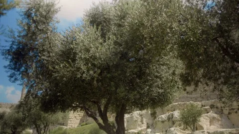 Jerusalem old city wall Stock-Footage 93878928