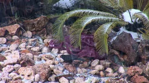 Jerusalem snow  1 Stock Footage 10828299