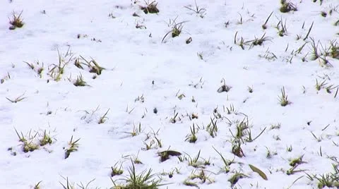 Jerusalem snow  12 Stock Footage 10828333