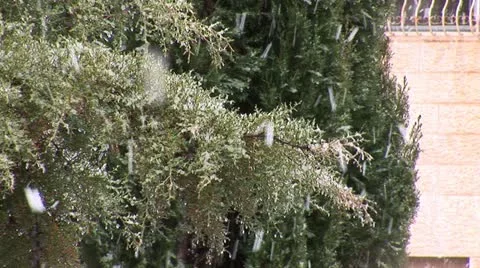 Jerusalem snow  5 Stock Footage 10828323