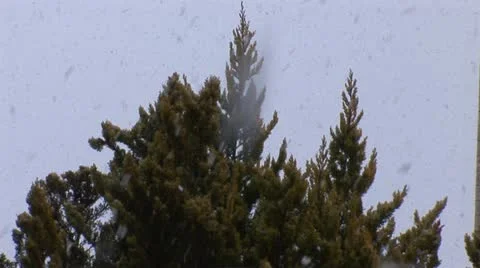 Jerusalem snow 6 Stock Footage 10828312