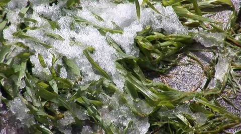 Jerusalem snow  9 Stock Footage 10828325