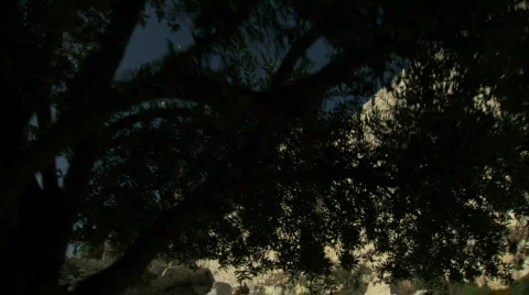 Jerusalem-Steadicam Stock Footage